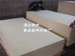 花紋楊木,膠合板, 貼面板, 櫥柜板生產(chǎn)供應商 木料和膠合板